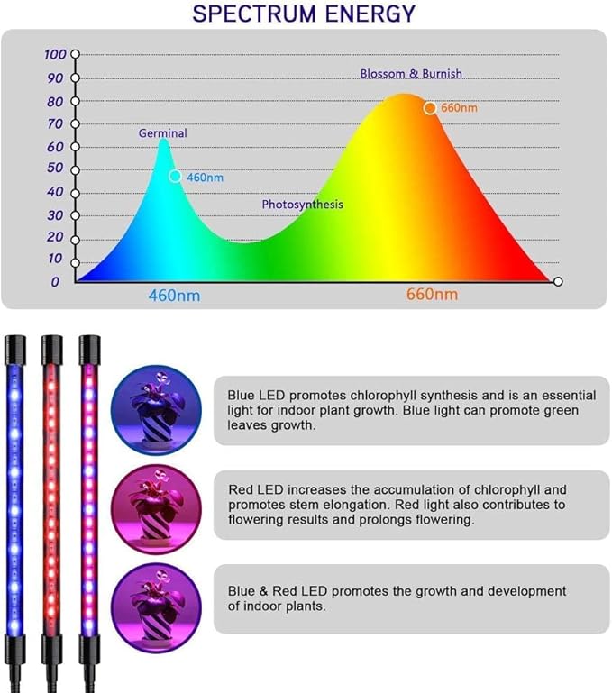 Grow Light for Indoor Plants 3 Heads Growing Lamps 3/9/12H Auto Timer Full Spectrum Planting Lights for Greenhouse Plants Flowers Veg Succulents Potted Growth Adjustable Gooseneck 3 Switch Modes