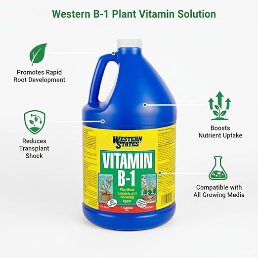 Western States Vitamin B-1 Plant Solution 1 Gallon 4-Pack Root Growth Promoter Transplant Stress Reducer