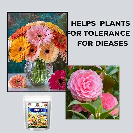 Sansar Agro® Chelated Calcium (Calcium - Ca- 10% EDTA Chelated) Powerful Essential Organic Fertilizer for Fast Growth of All Plants. (200 gm)