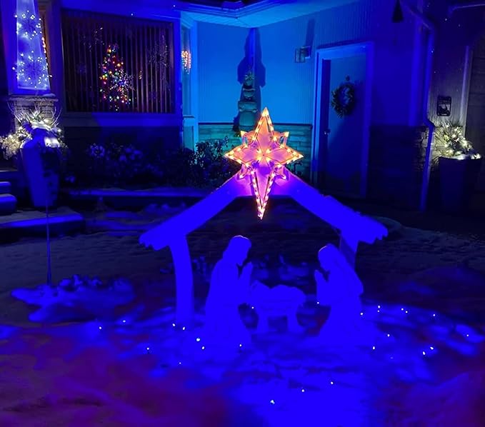 Color LED Outdoor Landscape Spotlight Remote 10W RGB Waterproof Spot Light for Yard Tree Garden Halloween Christmas Lighting 120V