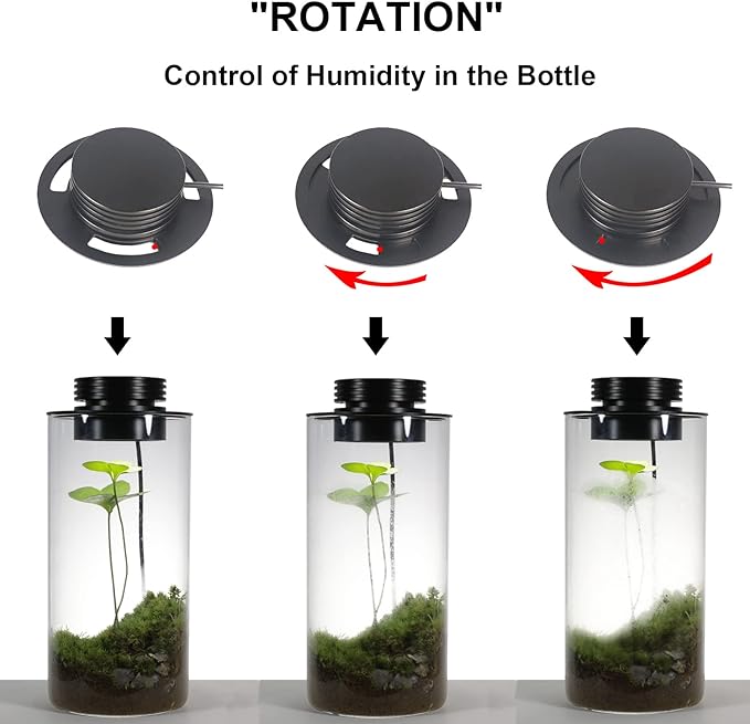 Desktop Glass Plant Terrarium with Grow Light (H:7.8 D:4) for Succulent Moss Miniature Gardening Landscape Betta Fish Tank Office Home Decoration Plant Lovers Gifts