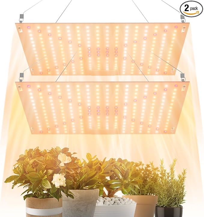 2Pcs 250W Indoor Sunlight Bulbs 100-277V Full Spectrum Hydroponic Plant Light UV/IR Greenhouse Seedings Cultivation Lights 110V Sunlike Sapling Vege Fruit Flower Moss Succulent Potted Moss Lighting