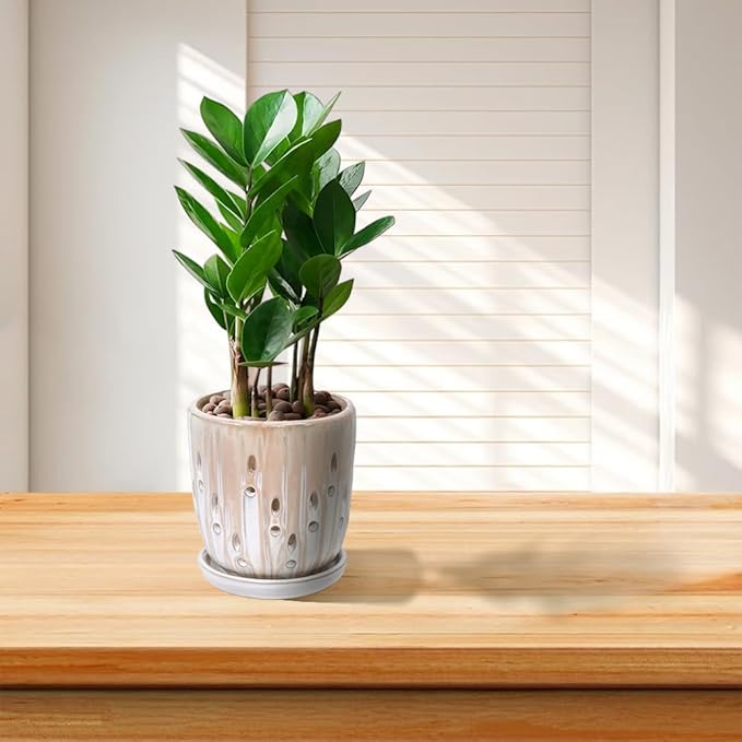 Handmade Ceramic Planter Set of 2 8 6 Diameter Beige with Vertical Stripes Oval Holes for Orchids Herbs IndoorOutdoor Shelf Table Use Breathable Clay