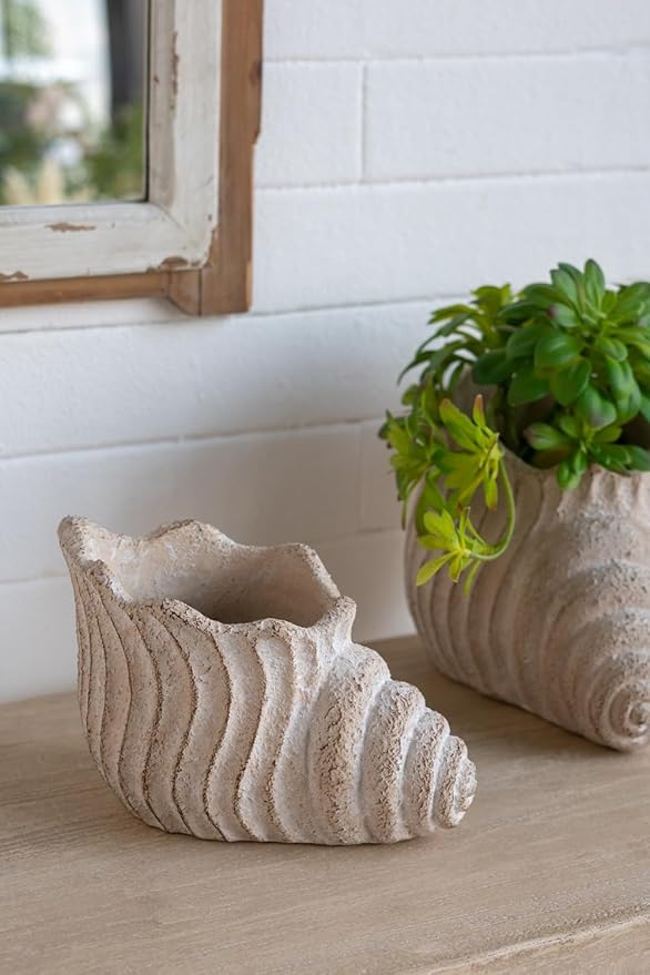 9x5.5x5.7 Sand and Cement Conch Planter with Textured Beige