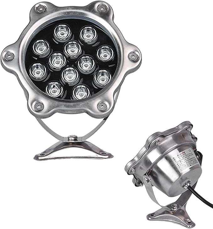 Outdoor Landscape Spotlight - IP68 Waterproof Submersible Fountain Light AC12/24V Low Voltage Recessed Pond Lamp for Garden Stairs Swimming LightingAC24V(12W)