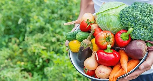 Organic Growing Fertilizer 1 Gal CDFA Organic Registered. Plant Care Fertilizer for Vegetable Gardens Like Tomato Cucumber Squash Beans and All Other Plants