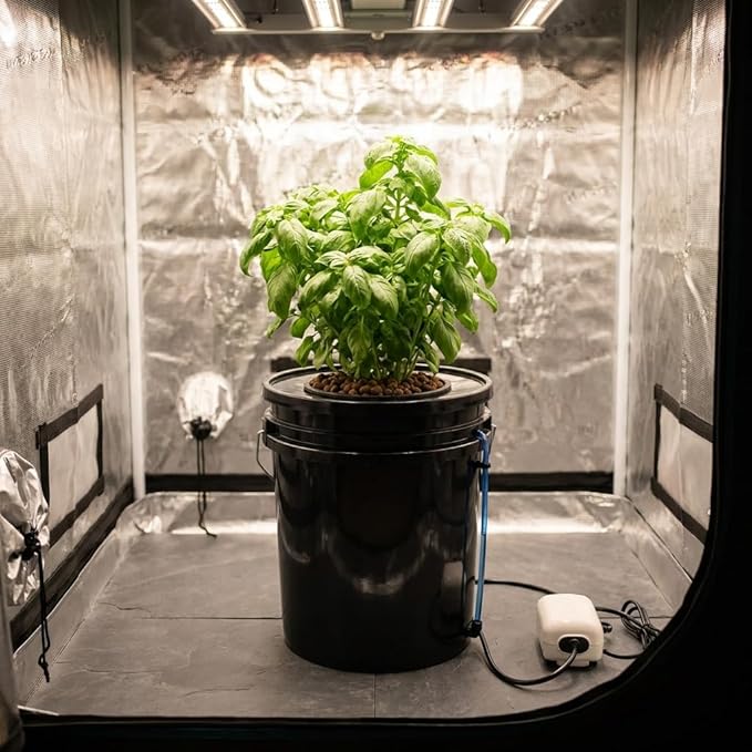 GROZY Hydroponics Growing System 5 Gallon DWC hydroponic System kit 20L One Bucket DWC Kit with 20cm Net Pot 120V Air Pump Air Stone &amp Water Level Indicator Indoor Garden