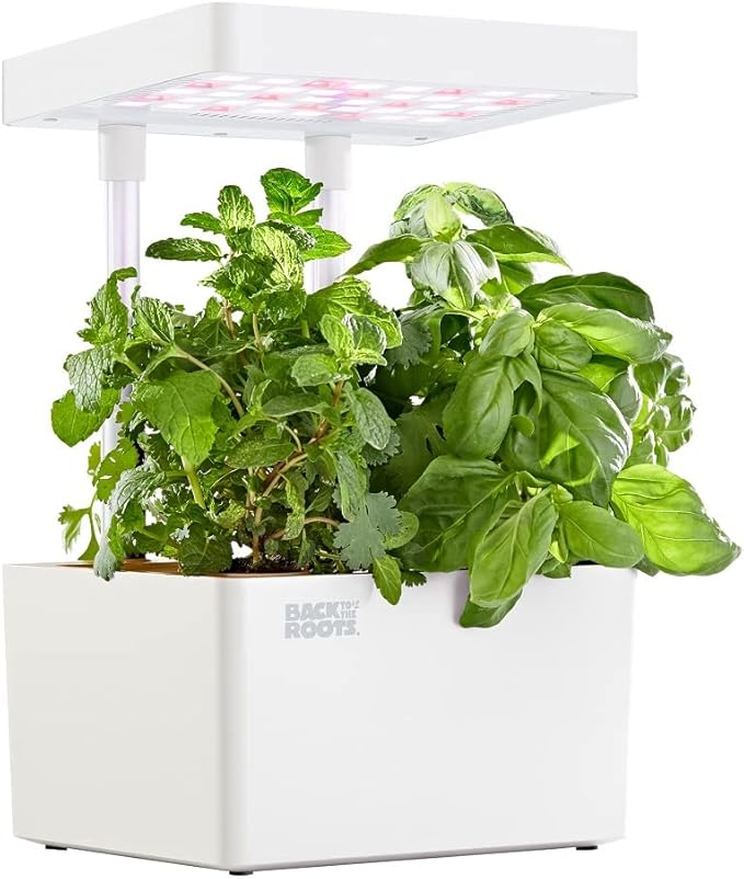 Back to the Roots v1.0 Hydroponic Grow Kit 2022 Model