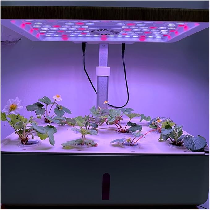 Hydroponic Equipment 12 Pots Smart Hydroponics Grow System Indoor Desktop Garden Kits with LED Growing Lights Intelligent Planter for Home Kitchen Indoor Garden