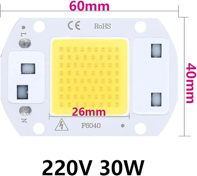 10PCS LED Chip Diode 220V LED Lamp 50W 30W 20W No Need Driver for Flood Light Spotlight LED Full Spectrum Plant Growth Lamp chip(Coldwhite30W)