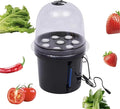 Hydroponics Seedling Cloning System Kit - 8 Holes 5L Mist Cultivating Seedling Box for Indoor and Outdoor Garden Vegetables