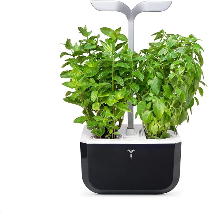 Veritable EXKY Smart Soft Black - Hydroponics Growing System Indoor Garden w/LED Grow Light 2 Organic pre-seeded Lingots® Refills Included. Self Irrigation w/Blinking Alert. Made in France