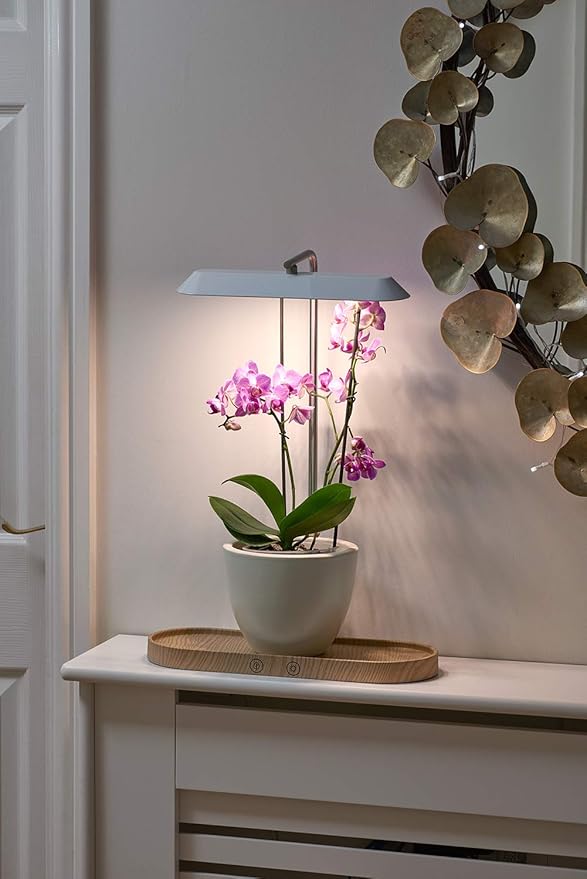 Auraglow LED Plant Grow Light with Hydroponic Full Spectrum Grow Mode &amp Display Lamp for Herbs Fruit Veg &amp Indoor Plants