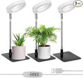 QWORK Grow Lights for Indoor Plants 3 Pack Full Spectrum LED Desk Grow Lamp 7-25 in Adjustable Height Auto Timer 2/4/8H 4 Dimmable Levels USB Powered
