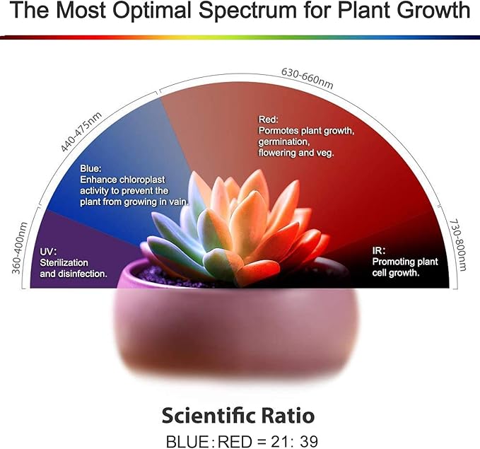 Grow Light Grow Lights for Indoor Plants - BaoChen 30W Plant Light with Auto Turn On Function 60 LED 3/6/12H Timer 5 Dimmable Modes 3 Spectral Modes 3 Divide Control Grow Lamp [Upgraded Switch]
