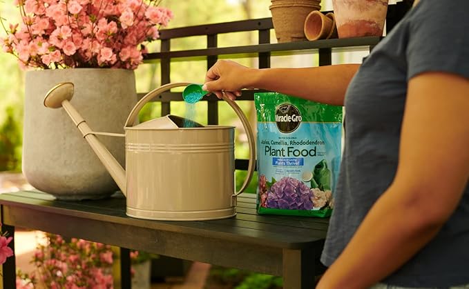 Miracle-Gro Water Soluble Azalea Camellia Rhododendron Plant Food - Fertilizer for Acid-Loving Plants &amp Flowers 5 lb. (Pack of 6)