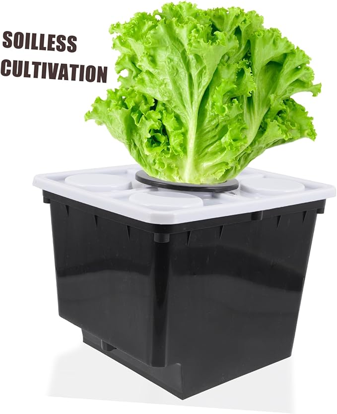KESYOO Soilless Planting Baskets for Hydroponics Greenhouse Vegetable Planter