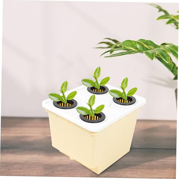 VICASKY 4holes Hydroponic Baskets Greenhouse Hydroponics System for Indoor Vegetable Fruit Planting