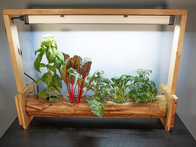 Tabletop Hydrogarden 5 Spots