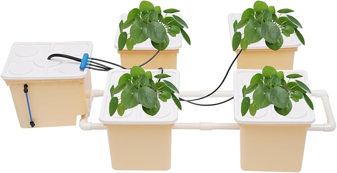 DWC Hydroponic System with Top Drip Kit 12L Recirculating Drip for Indoor/Outdoor Deep Water Culture Garden for Leafy Vegetables Herbs Lettuce Hydroponics Growing Kit (Easy Setup)
