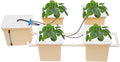 DWC Hydroponic System with Top Drip Kit 12L Recirculating Drip for Indoor/Outdoor Deep Water Culture Garden for Leafy Vegetables Herbs Lettuce Hydroponics Growing Kit (Easy Setup)