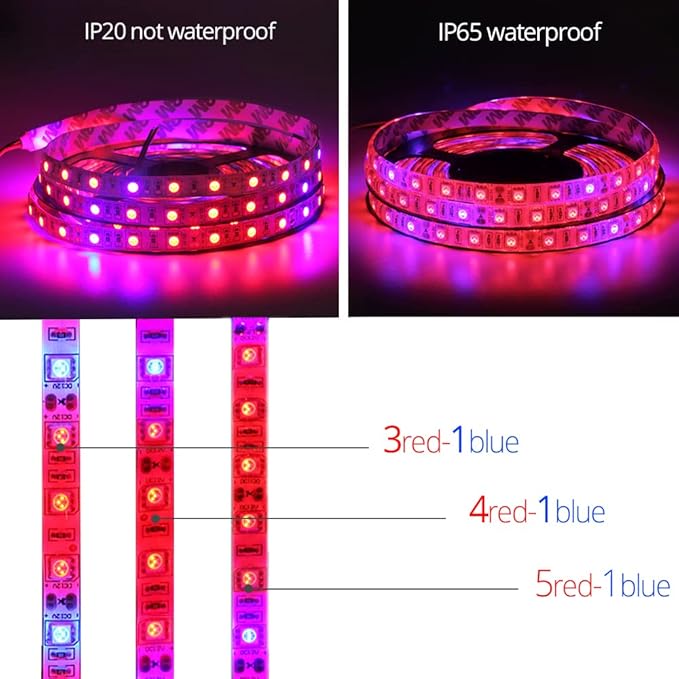 Fengyan Landscape Lights 5M LED Phyto Lamps Grow Lights SMD 5050 LED Strip Light DC12V Flower Plant Growth Lamps for Greenhouse Hydroponic Plant Growing LED Street Lamp