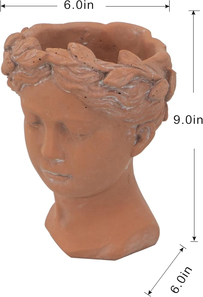 D6x9 Visage Head Bust Planter Brown