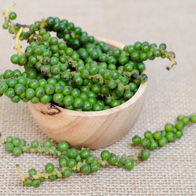 Black Pepper Plant Live Black Pepper Tree Plant Piper Nigrum Plants 4 to 6 Inches Tall Edible Herb for Indoor Outdoor Garden