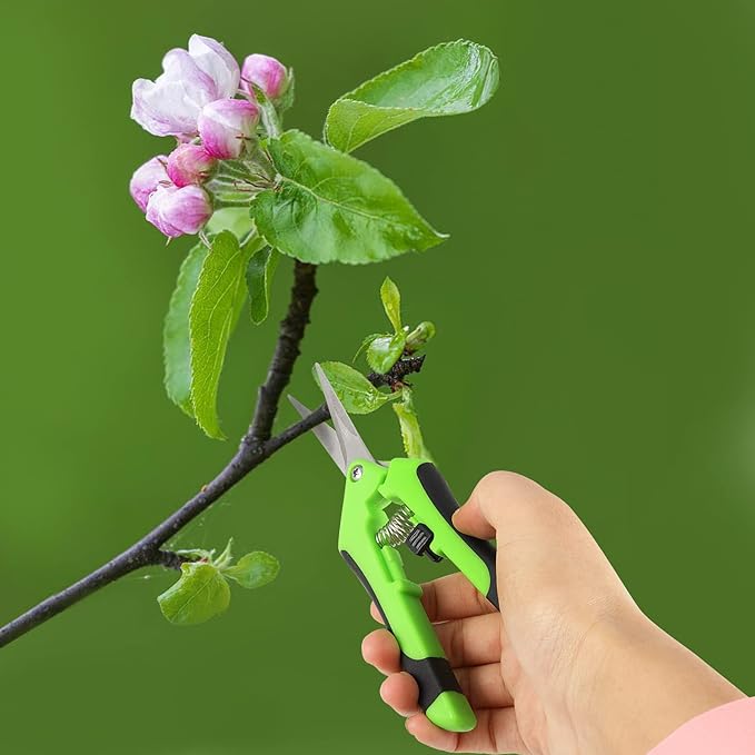 JEUIHAU 12 Pack 6.5 InchesPruning Shears Trimming Scissors Gardening Hand Pruning Shears with Straight Tip Stainless Steel Blades Micro Tip Pruning Snips for Trimming Garden Herb Plant Flower Green