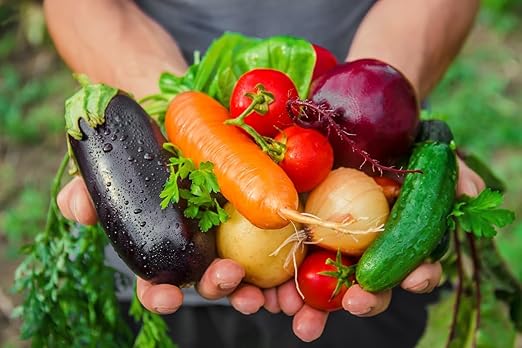 Organic Growing Fertilizer 1 Gal CDFA Organic Registered. Plant Care Fertilizer for Vegetable Gardens Like Tomato Cucumber Squash Beans and All Other Plants