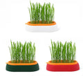 3pcs Indoor Hydroponic Growing Kit and Germination Trays for Catsk Plant Germination Trays