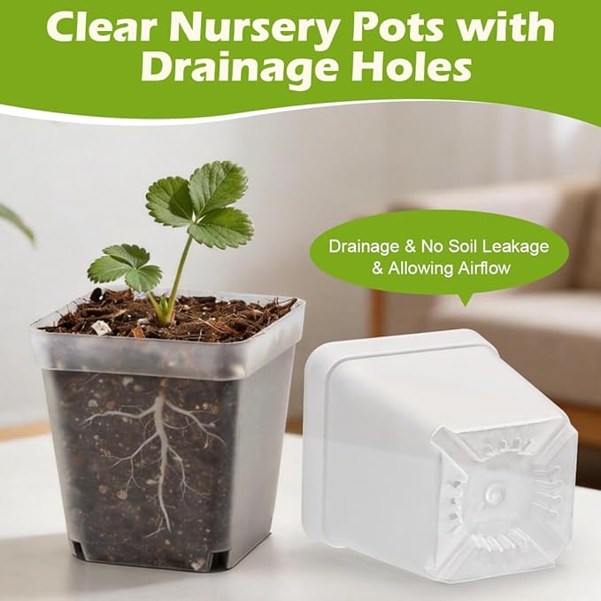 2.7 Inch Square Nursery Pots with Humidity Dome 60 Packs Clear Seedling Pots with Drainage Holes Reusable Propagation Pots Small Plant Container for Indoor Outdoor Gardening