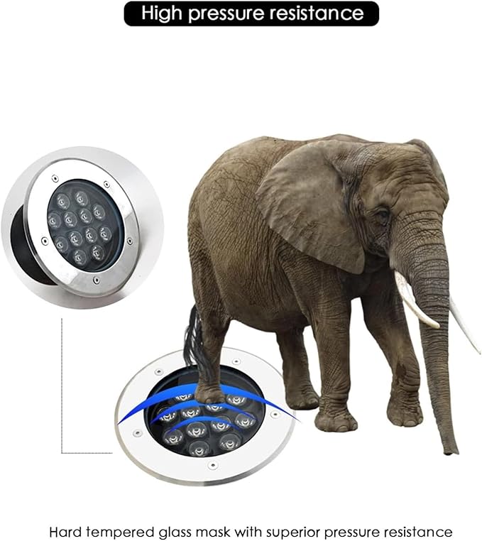 Recessed LED Buried Lamp IP67 Waterproof Outdoor Landscape Lights AC85-265V Low Voltage Stainless Steel Round Spotlight for Villa Patio Lawn LightingBlue Light 12 W