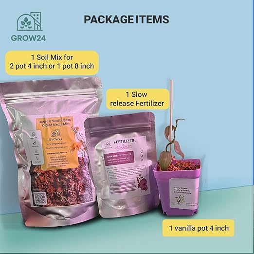 GROW24 Vanilla Orchid Starter Plant kit 4-inch Pots Plus Media Mix and Slow Release Fertilizer (1)