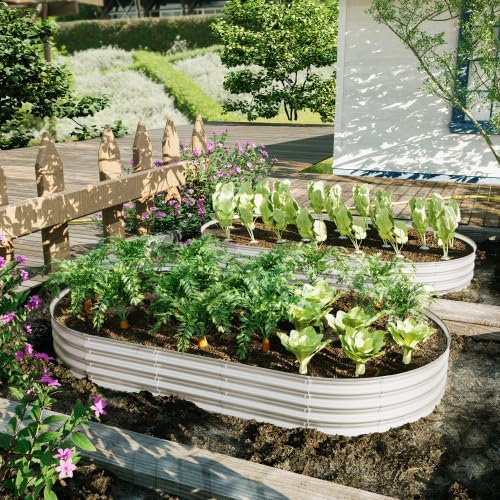 Galvanized Steel Raised Garden Bed 4x2x1ft (48x24x12) - Compact Planter Box Kit for Balcony Vegetables &amp Flowers | Small Space Design | Rust-Proof &amp 10-Min Assembly