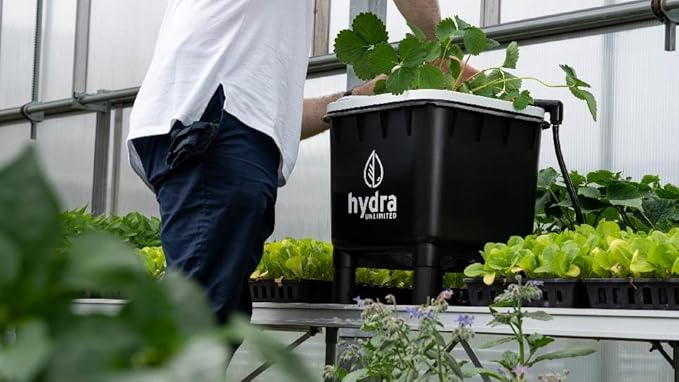 Hydramax Chiller-Ready 1 Bucket 1 Row RDWC System