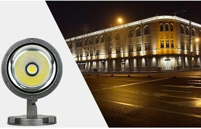 10/20/30/50/80W Outdoor Led Spotlight Waterproof Led Landscape Spotlights Warm Light and White Light Pathway Lighting Indoor and Outdoor Landscape Lighting Illumination/80W/White Light