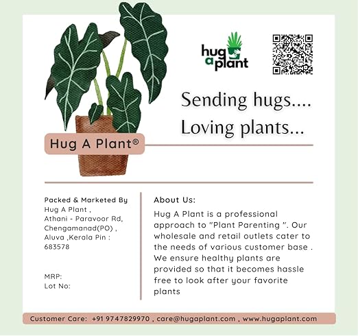 Hug A Plant | Ground Nut Cake/Kappalandi Pinnakku For Plants (Home &amp Garden) (1 KG)