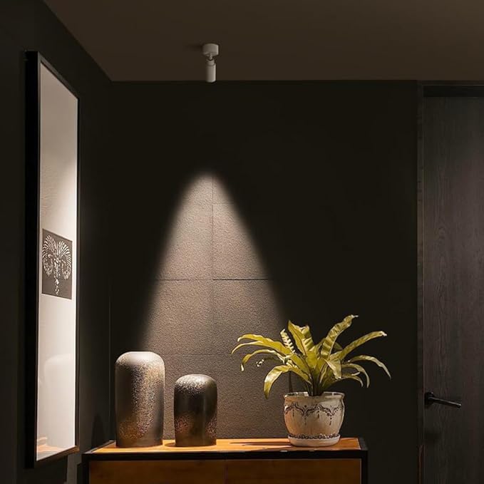 Adjustable Ceiling Spotlight 5w Spot Light Exposed Mounted Led Flush Mount Lights Directio l Spotlights Accent Lighting Artwork Display Lamps