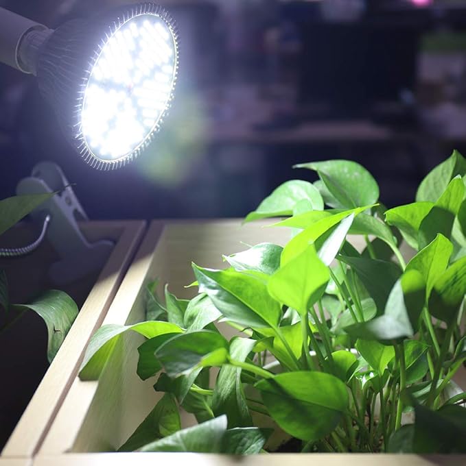 MILYN LED Grow Light Bulb for Indoor Plants Full Spectrum Pure White Grow Lamp 2 Pack 100W E26 LED Plant Bulb for Seedlings Flowers Greenhouse Vegetable Succulent Houseplants Hydroponic