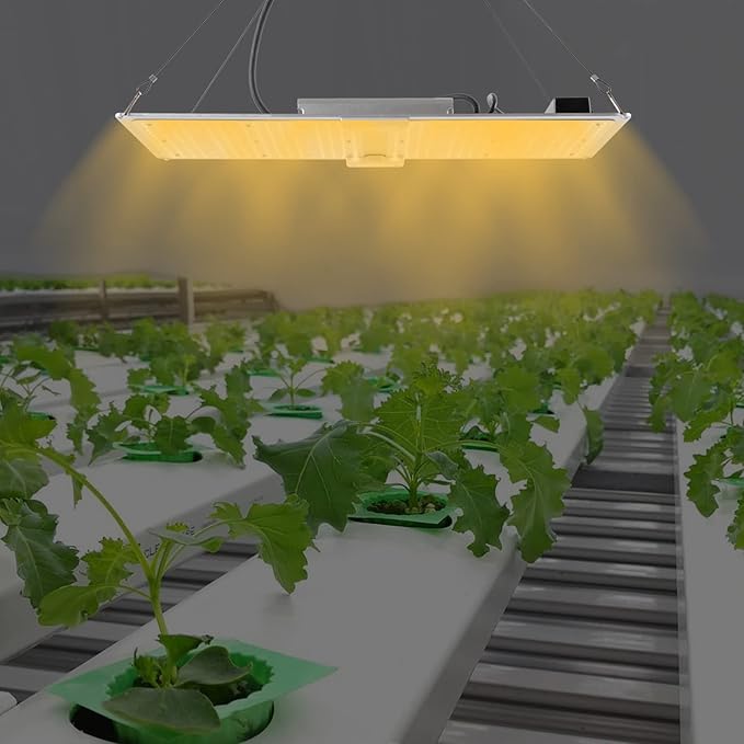 Gdrasuya10 450W LED Grow Light with LM301B LED Light &amp Meanwell ELG Driver Dimmable Full Spectrum Growth Light for 3x5ft Seedling Veg and Bloom Grow
