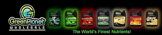 Green Planet Nutrients - HYDRO FUEL Bloei A &amp B Maximum BLOOM (4 Liters Bloei A + 4 Liters Bloei B)