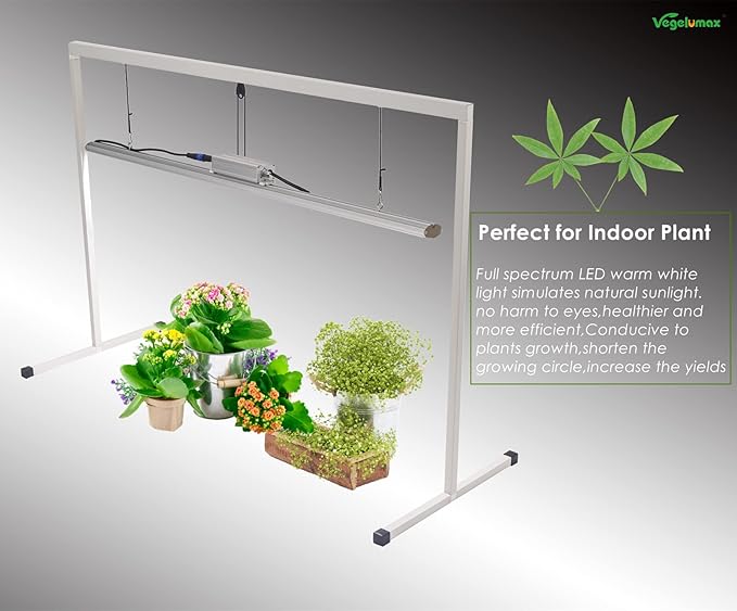 Vegelumax100Watt LED Grow Light Lamp for Indoor Plant Vege Flower Herb GrowthFull Spectrum CRI 90+ High Output White Light CCT 3200KIsolated Dimming Driver with On/Off Switch4Feet