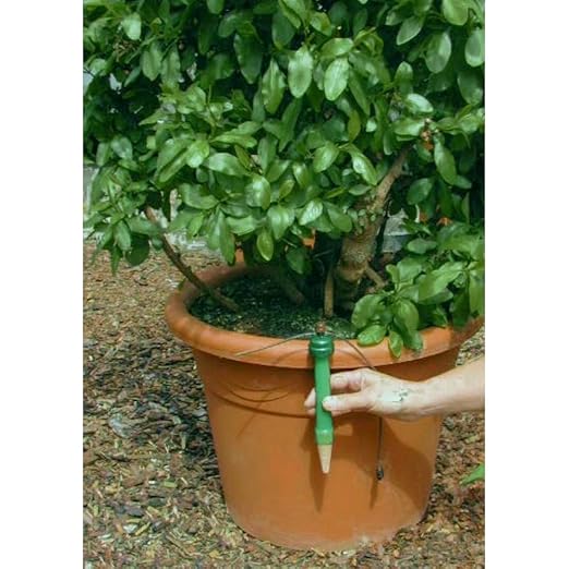 Blumat Longs Kit (Tropf Maxi) | Automatic Drip Irrigation Kits | Automatic Watering System for Up to 6 Bigger Plants | Blumat Watering System