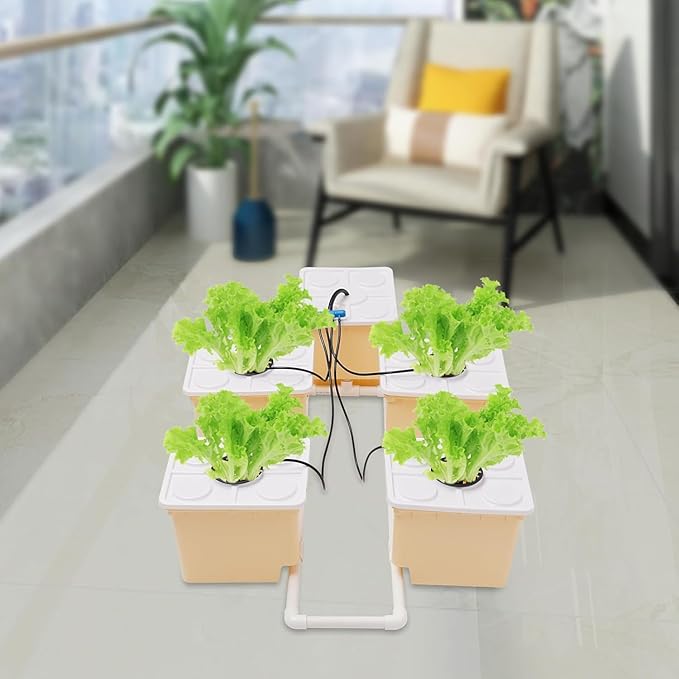 DWC Hydroponic System with Top Drip Kit 12L Recirculating Drip for Indoor/Outdoor Deep Water Culture Garden for Leafy Vegetables Herbs Lettuce Hydroponics Growing Kit (Easy Setup)