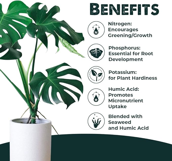 Soil Hume Seaweed Humic Acid 32 Ounce + 4-6-8 All Purpose Plant Food 32 Ounce + Micro Booster Chelated Micronutrients 32 Ounce - Indoor Plant &amp Outdoor Garden Bundle - Simple Grow Solutions
