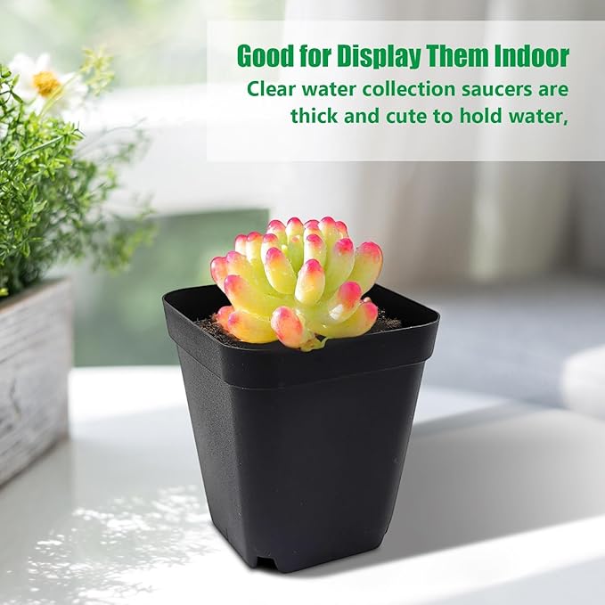 Square Nursery Pots 2.7 Inch Seed Starting Pot with Drainage Small Plastic Plant Pots Flower Planter (Black 1200pcs 2.7 1200P)