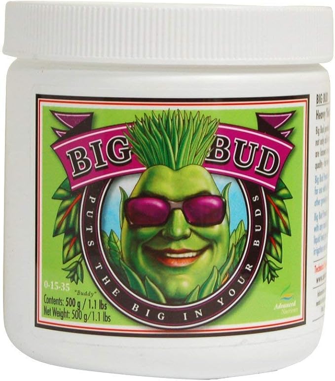 Big Bud Powder 500 Grams - NA0028CT