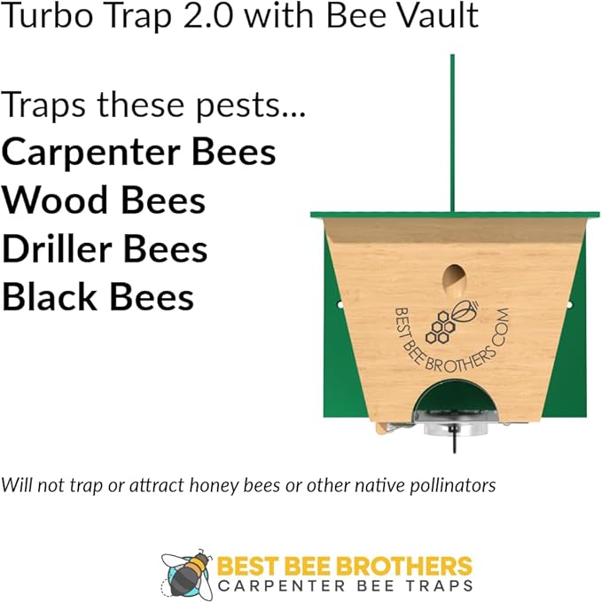 Best Bee Brothers Turbo Trap 2.0 Professional-Grade Carpenter Bee Trap for Outside with Bee Vault Large Viewport &amp Spring-Loaded Door 4.1” W x 4.8” H x 5.9” D (2 Pack)