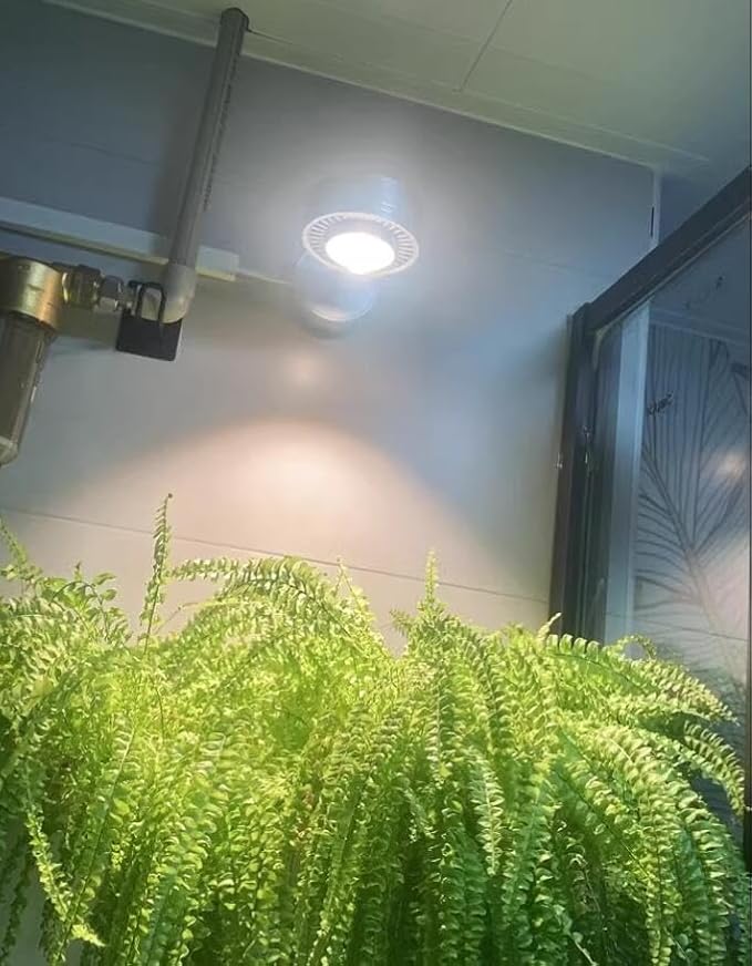 Silver Plant Lights Full Spectrum LED Adjusted Angle Wall Lights 10W Warm Light Plug in Cord Spot Lamp Imitation Sunlight for Indoor Home Plants Growing